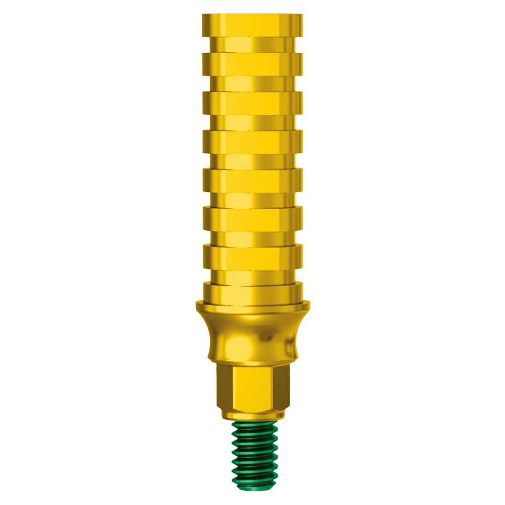 מבנה זמני גובה חניכיים לא מסתובב JDEvolution Plus